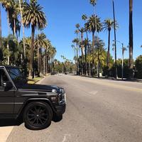 Отзыв от Эльдар - виза ДТВ